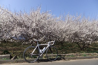 photo-20130316-3