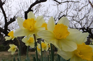photo-20130320-3