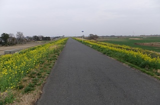 photo-20130320-6