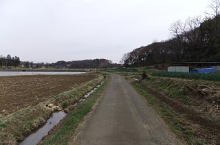 photo-20130323-2
