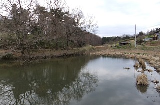 photo-20130323-3