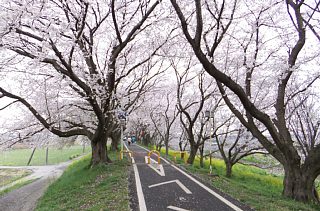 photo-20130331-5