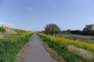 photo-20130407-1