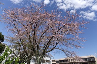 photo-20130407-6