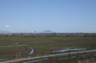 photo-20130407-7