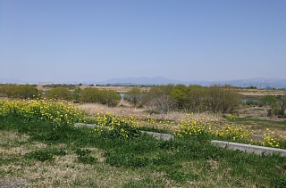 photo-20130413-1