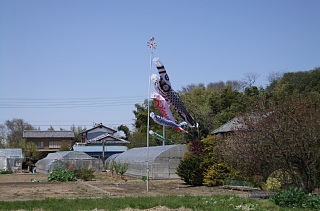 photo-20130413-2