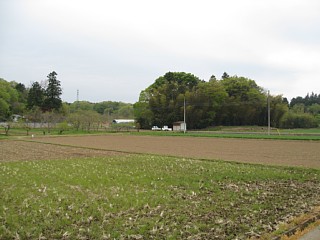 photo-20130420-1