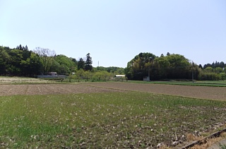 photo-20130428-1