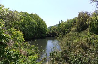 photo-20130428-3