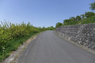 photo-20130428-4