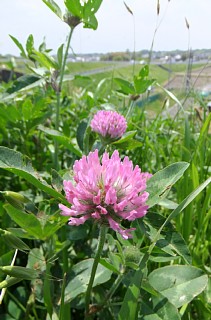 photo-20130501-1