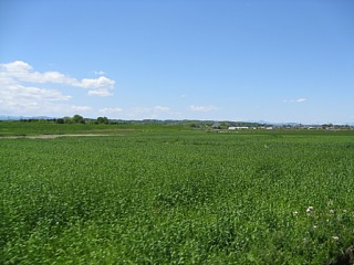 photo-20130503-1