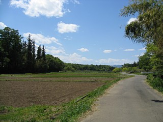 photo-20130503-2