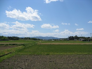 photo-20130503-5