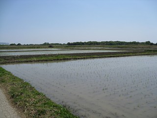photo-20130505-4