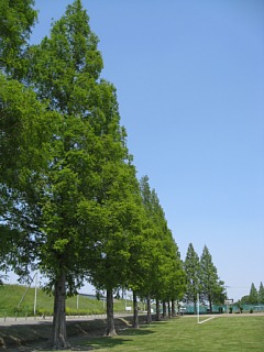 photo-20130505-5