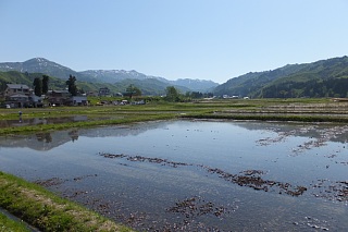 photo-20130518-2