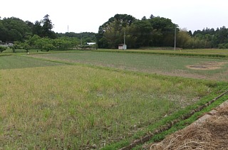 photo-20130525-1