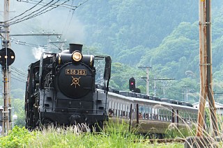 photo-20130602-13