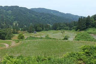 photo-20130610-10