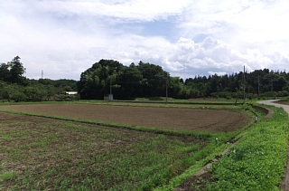 photo-20130622-3