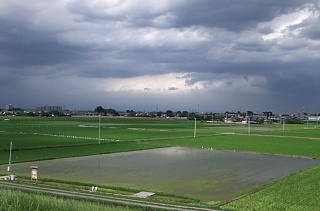 photo-20130622-5