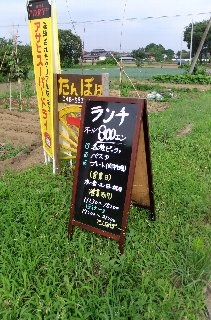 photo-20130623-3