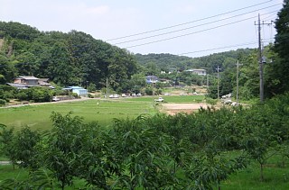 photo-20130629-1