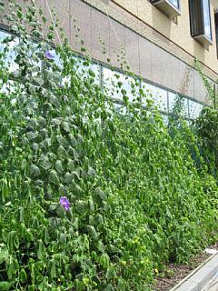 photo-20130714-2