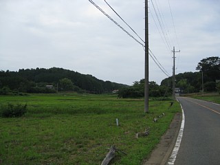 photo-20130721-5