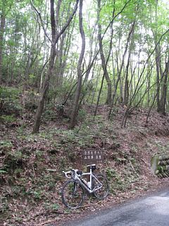 photo-20130804-5