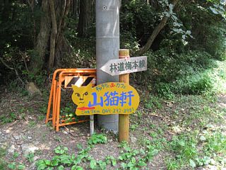 photo-20130813-12
