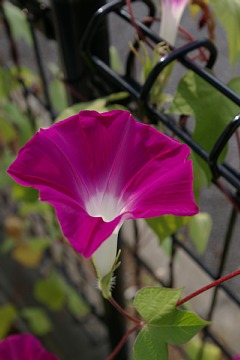 photo-20130813-14