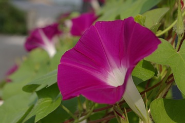 photo-20130815-3
