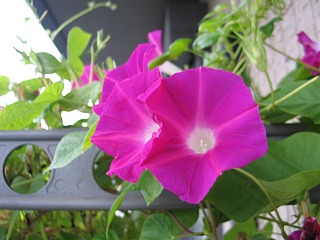 photo-20130908-1