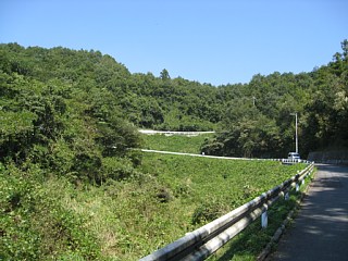 photo-20130921-3