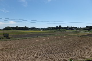photo-20130928-1