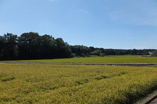 photo-20130928-2