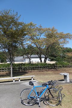 photo-20131012-1
