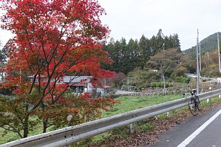 photo-20131103-4