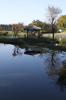photo-20131116-1
