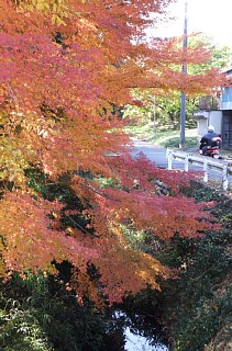 photo-20131124-3