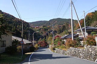 photo-20131124-5