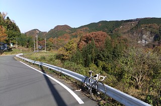 photo-20131124-6