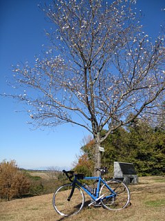 photo-20131130-1