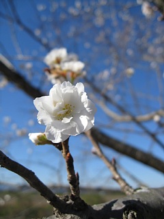 photo-20131130-2