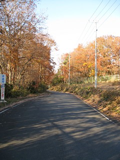 photo-20131214-11