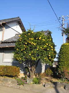photo-20131214-7