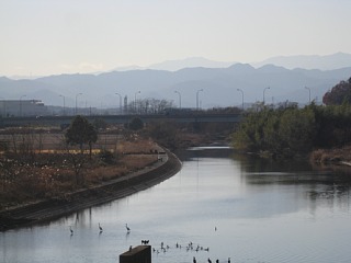 photo-20131214-8